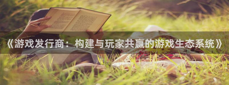 法国bg大游lvnces是奢侈品吗：《游戏发行商：构建与玩家共赢的游戏生态系统》
