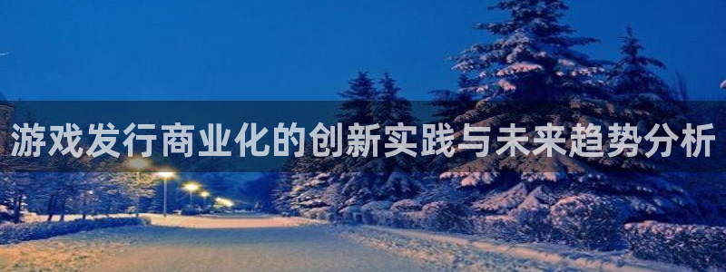 bg大游官网注册方法有哪些：游戏发行商业化的创新实践与未来趋势分析