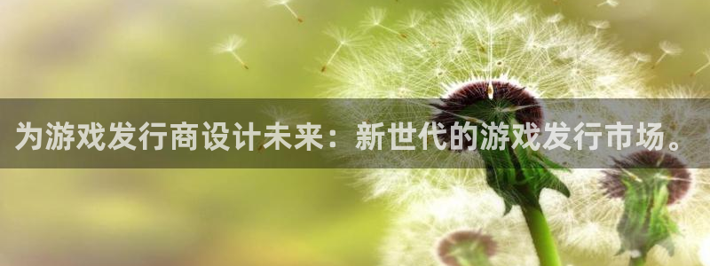 bg大游官网平台代理开号怎么开：为游戏发行商设计未来：新世代的游戏发行市场。