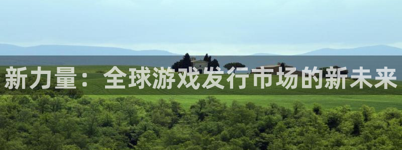 bg大游官网注册登录官网：新力量：全球游戏发行市场的新未来