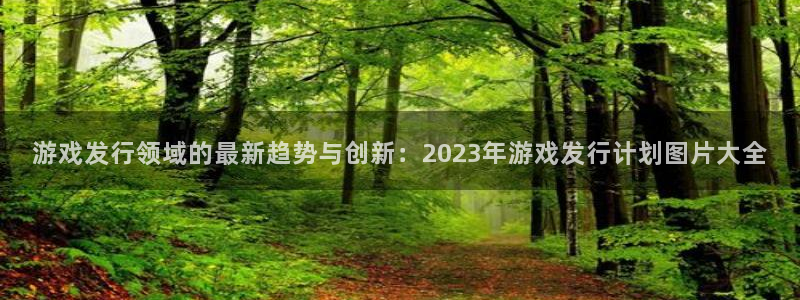 bg大游龙