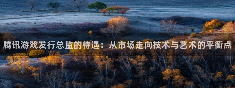 bg大游官网登录注册账号失败怎么回事：腾讯游戏发行总监的待遇：从市场走向技术与艺术的平衡点