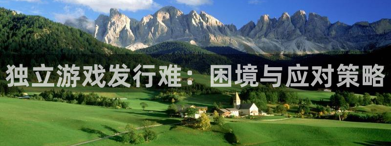 bg大游官网登录注册账号失败怎么办：独立游戏发行难：困境与应对策略