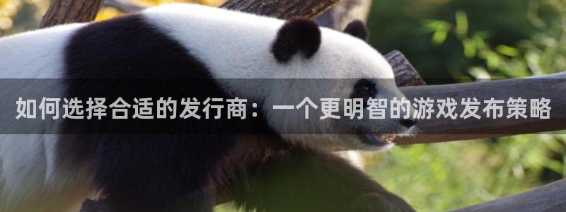 bg大游官网注册平台是什么公司：如何选择合适的发行商：一个更明智的游戏发布策略