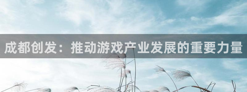bg大游子经理人读后感：成都创发：推动游戏产业发展的重要力量