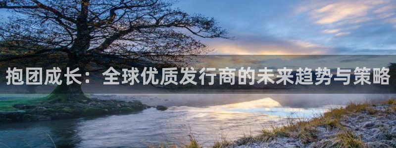 bg大游官网登录注册账号安全吗是真的吗：抱团成长：全球优质发行商的未来趋势与策略