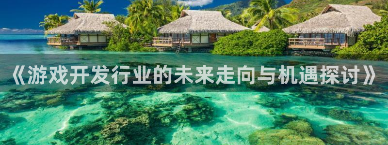 bg大游子最好看的小说：《游戏开发行业的未来走向与机遇探讨》