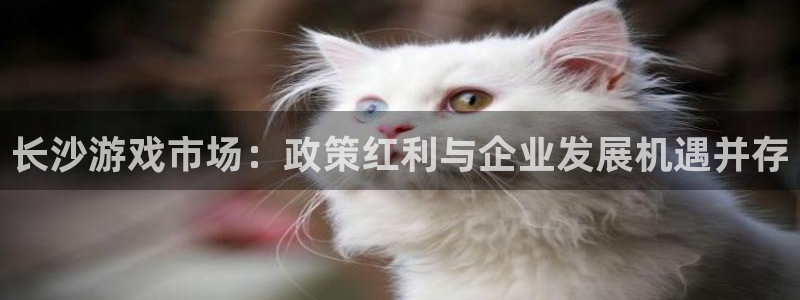 bg大游官网注册方法有哪些软件：长沙游戏市场：政策红利与企业发展机遇并存