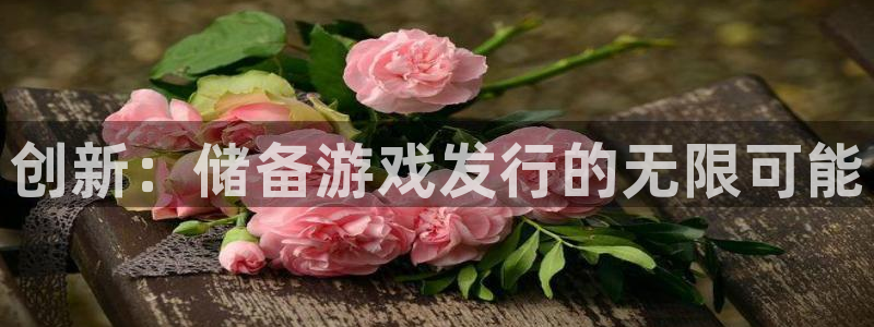bg大游子上市：创新：储备游戏发行的无限可能