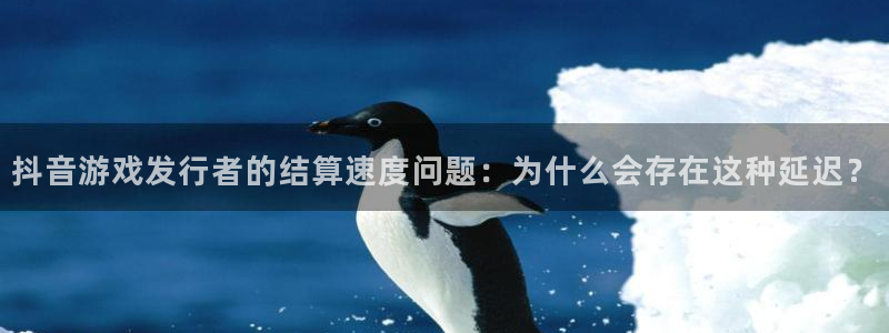 bg大游子文化有什么游戏：抖音游戏发行者的结算速度问题：为什么会存在这种延迟？
