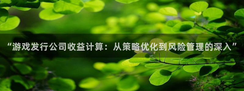 bg大游官网代理开号怎么开：“游戏发行公司收益计算：从策略优化到风险管理的深入”