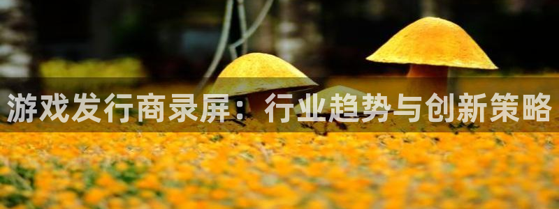 陕西bg大游子文化创意骗局：游戏发行商录屏：行业趋势与创新策略